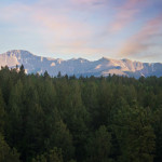 Image of Colorado forest and mountains